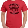 25th Wedding Anniversary T-Shirt My Awesome Wife Men's Funny 25 Year Husband Gift Cotton Tee